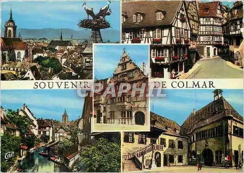 Cartes postales moderne Colmar vue generale vieilles Maisons