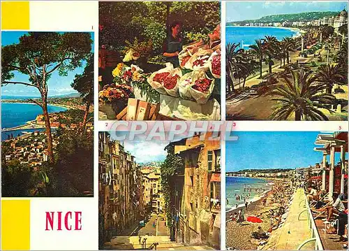 Cartes postales moderne La Cote d'Azur miracle de la nature Nice ( A Ma) vue generale le Marche aux fleurs