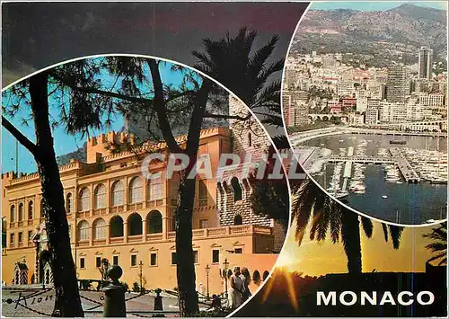Cartes postales moderne La Cote d'Azur Principaute de Monaco Le Palais princier le Port