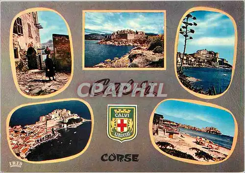 Cartes postales moderne Charme et Couleurs de la Corse Calvi