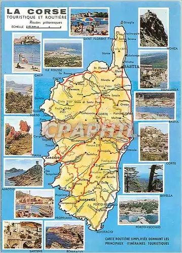 Cartes postales moderne Corse Ile de Beaute