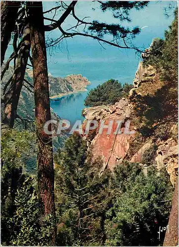 Cartes postales moderne La Corse Oasis de Beaute les Calanche Ravin encadre de magnifiques roches rouge