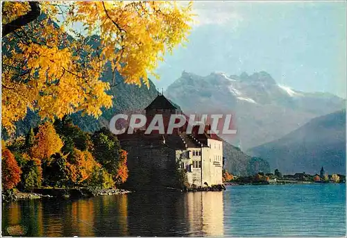 Cartes postales moderne Lac Leman le chateau de Chillon et les Dents du Midi