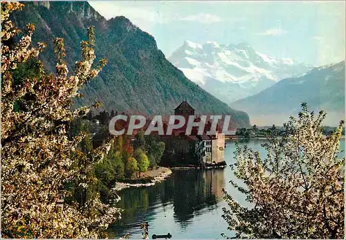 Cartes postales moderne Lac Leman le chateau de chillon et les dents du midi au printemps