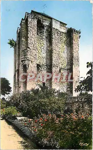 Cartes postales moderne La Rocher Posay les Bains (Vienne) Le Donjon (Xes)