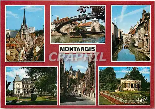 Cartes postales moderne Les Merveilles du Val de Loire Orleans (Loiret) Le transept nord de la cathedrale Saint Croix (X