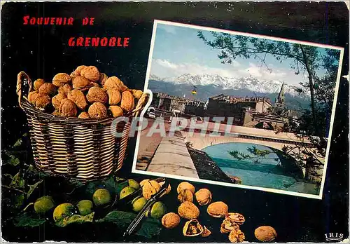 Cartes postales moderne Grenoble Capitale du Dauphine