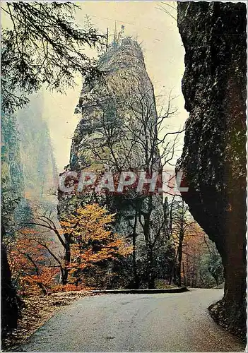 Cartes postales moderne Paysages de Chartreuse la Route du Desert le Pic de l'Oeillette