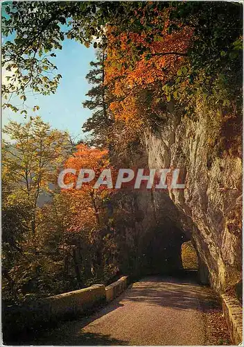 Cartes postales moderne Les Alpes touristiques en Chartreuse Route du Desert en automne