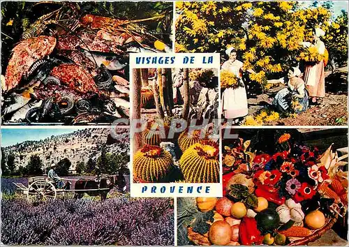 Cartes postales moderne Reflets de la Cote d'Azur Visages de la Provence