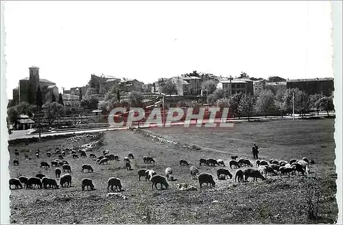 Moderne Karte Cabris (A M) alt 550m vue generale et le Grand Pre