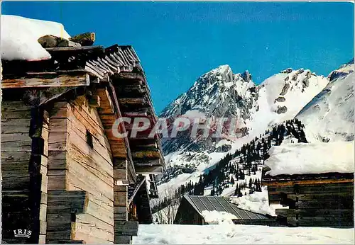 Cartes postales moderne Neige en soleil