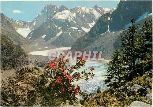 Moderne Karte Au pays du Mont Blanc La Meer De Glace avec pour taille de fond le Massif des Grandes Jorasses