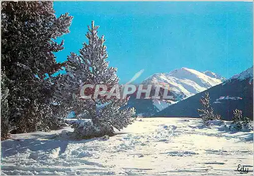 Cartes postales moderne Images de Chez nous en Hiver A l'oree de la Foret