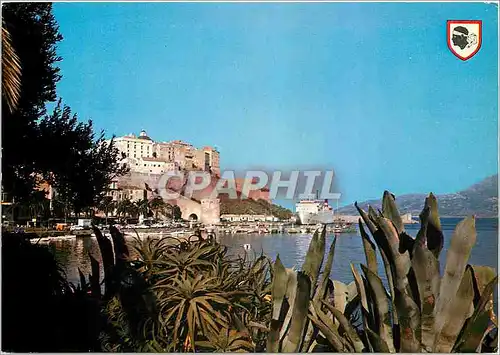 Moderne Karte Corse Ile d'Amour Calvi La Citadelle et le Port pris du Jardin Public