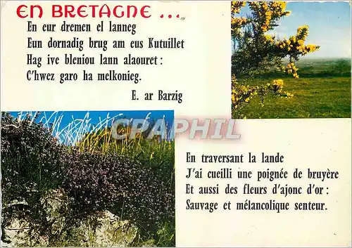 Cartes postales moderne La Bretagne en Couleurs