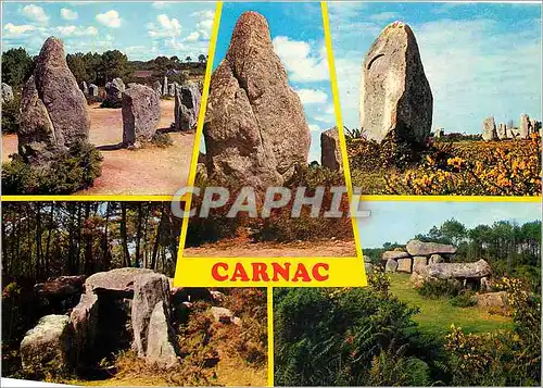 Cartes postales moderne Couleurs de Bretagne Carnac Les Alignement de menhis et les doimens