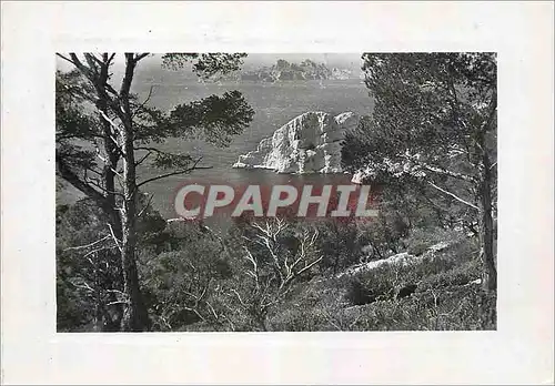 Cartes postales moderne Calanques Provencales