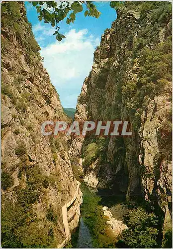 Cartes postales moderne Amelie les Bains Perle des Pyrenees Les Gorges du Mondony