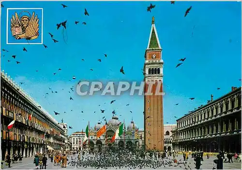 Cartes postales moderne Venezia Place S Marco Vol pigeons