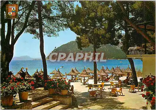 Cartes postales moderne Mallorca Fermenter Detail de la plage