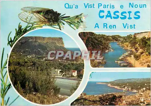 Cartes postales moderne Reflets de Provence Cassis (B du R) La Calanque de Port   Miou le Cap Canaille