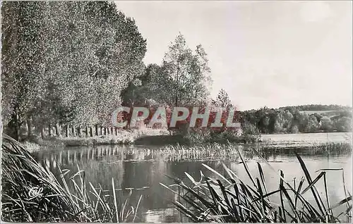 Cartes postales moderne Gisors Etang de la Balastiere