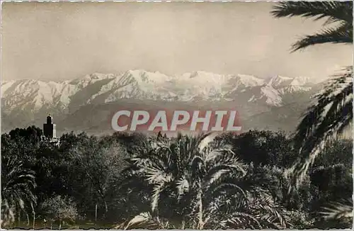 Cartes postales moderne L'Atlas vu de Marrakech