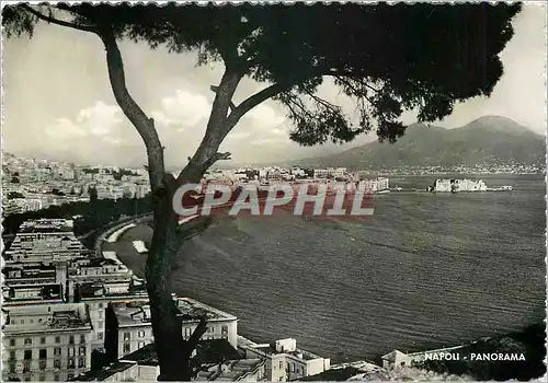 Cartes postales moderne Napoli Panorama