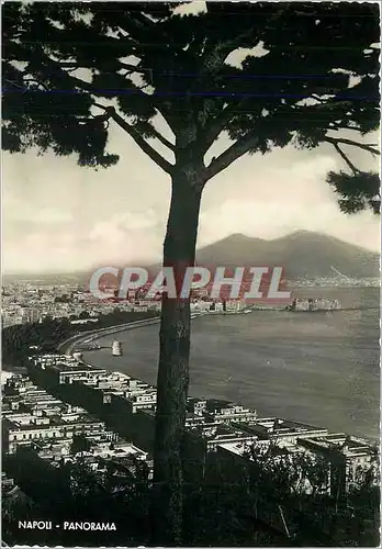 Cartes postales moderne Napoli Panorama