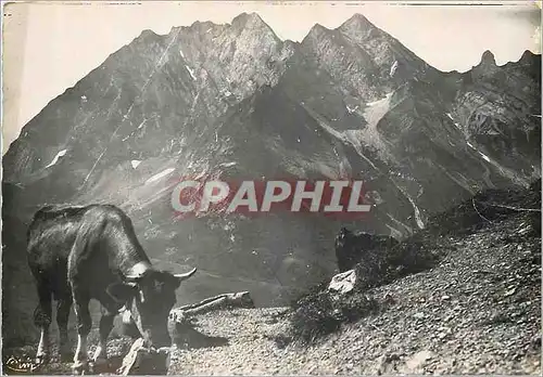 Cartes postales moderne Roche de l'Etsale (2080m) vu des Aravis Vache