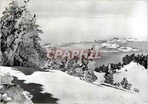 Cartes postales moderne Chamrousse Descente sur Roche Beranger