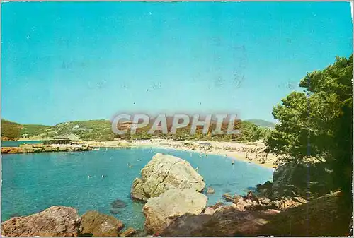 Cartes postales moderne Mallorca camp et Plage