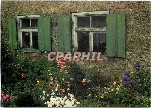 Cartes postales moderne Houtland Lille Brugge