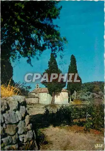 Cartes postales moderne La Provence Pittoresque