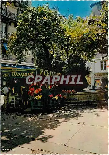 Cartes postales moderne Reflets de la Cote d'Azu Toulon (Var) La Place Puget et sa Fontaine