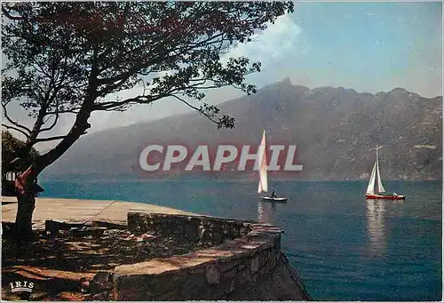 Cartes postales moderne Aix le Bains Lac du Bourget et panorama sur la dent du Chat