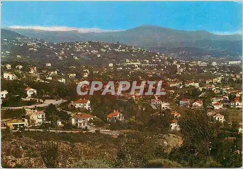 Cartes postales moderne Mandelieu vue generale sur les cillines de Mandelieu dans le fond la chaine des Alpes