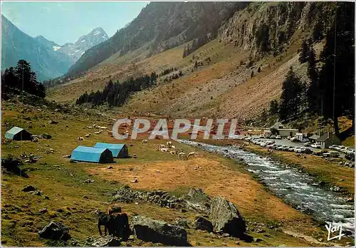 Cartes postales moderne Nos Belles Pyrenees dans la vallee de Lutour la Fruitiere