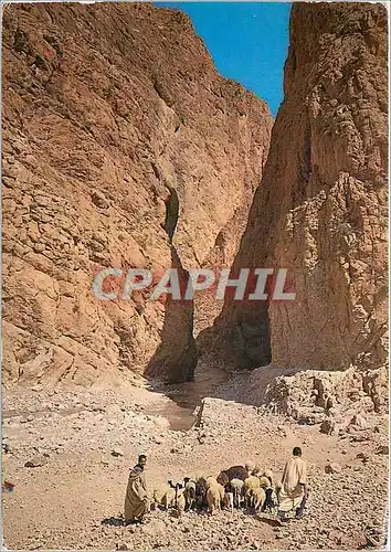 Cartes postales moderne Les Gorges du Todra