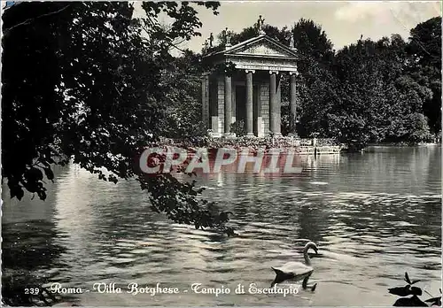 Cartes postales moderne Roma Villa Borghese Tempio du Esculapio