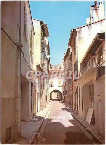 Cartes postales moderne Lumiere et Beaute de la Cote d'Azur Ollioules Rue Marcelin Berthelot