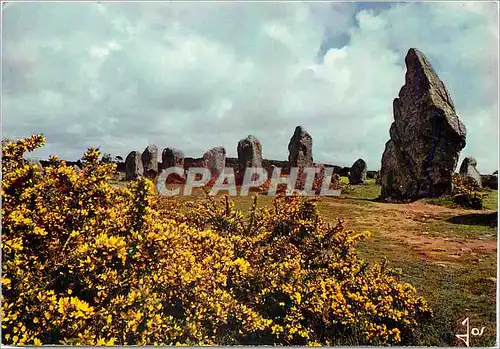 Cartes postales moderne La Bretagne en Coulleurs Carnac (Morbihan) Les Ajoncs et les menhirs