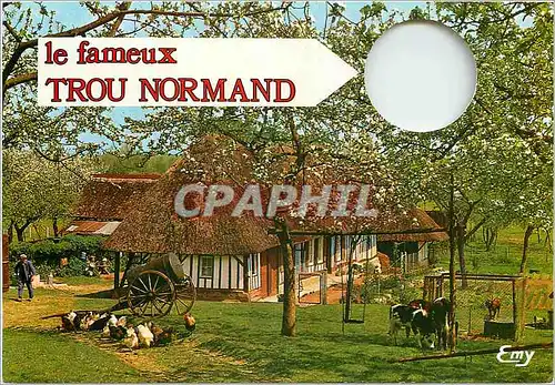 Cartes postales moderne Le Tour Normand Vaches Poules