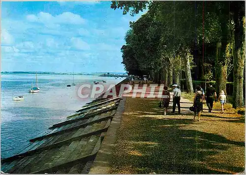 Cartes postales moderne Saint Valery sur Somme La Digue promenade