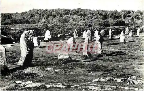 Cartes postales moderne Bretagne Carnac (Morbihan)Les alignements de Kermario