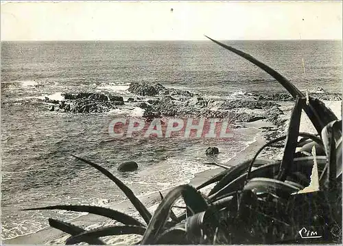 Moderne Karte Cote d'Azur varoise Croix Valmer (Var) Cap Myrtes Rocher