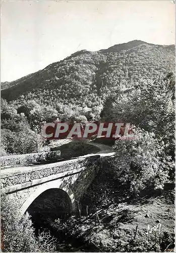 Cartes postales moderne Environs de Mont Dore Chambon (P d D) Route de Besses en Chandesse au sortir de la Vallee de Cha