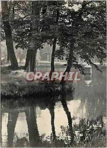 Moderne Karte Massy (S et O) Vue sur l'Etang