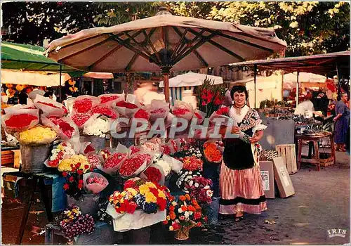 Cartes postales moderne La Cote d'Azur French Riviera Marche aux Fleurs